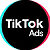 Tik Tok Field Reference logo