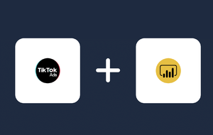 TikTok Ads Power BI Connector