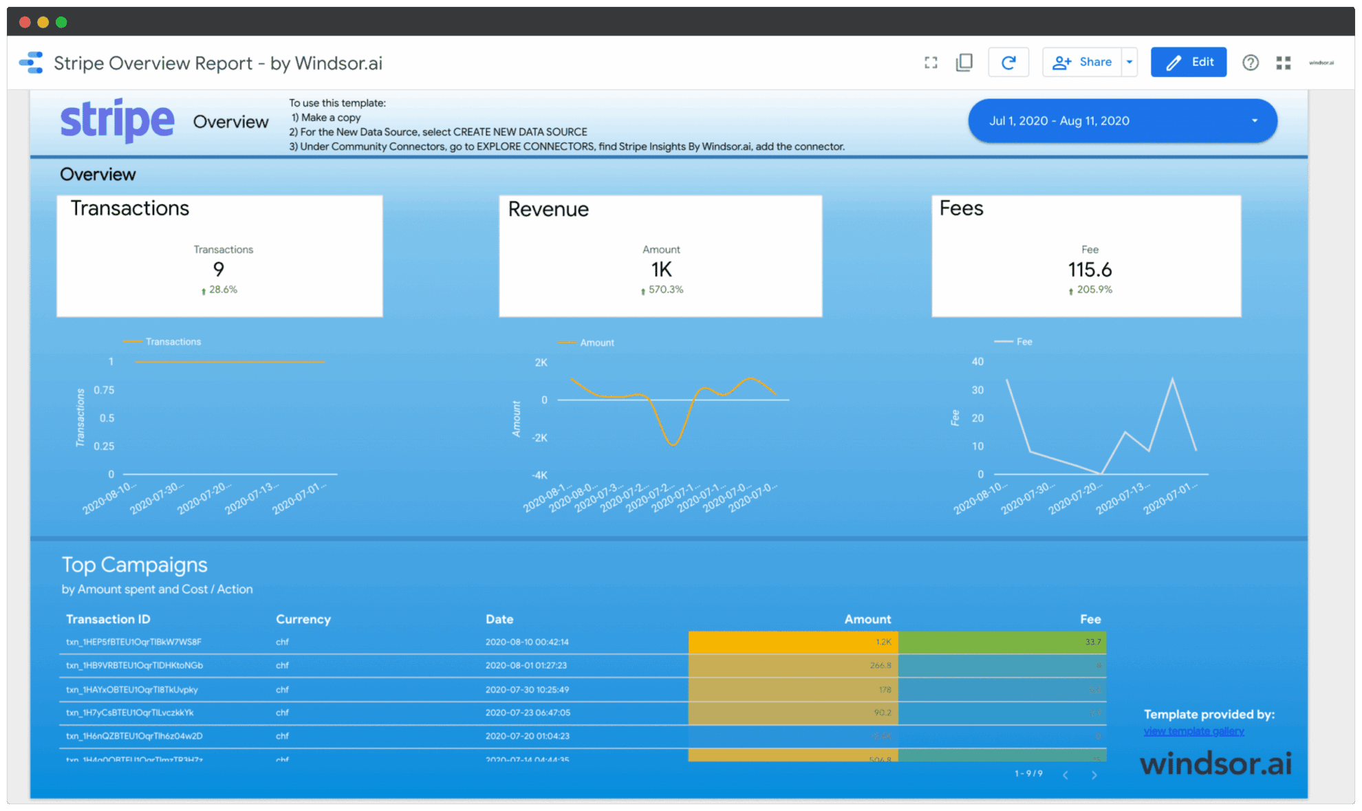 stripe google data studio overview report
