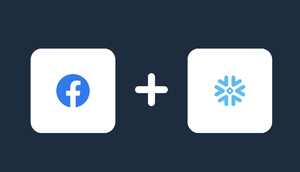 facebook ads snowflake