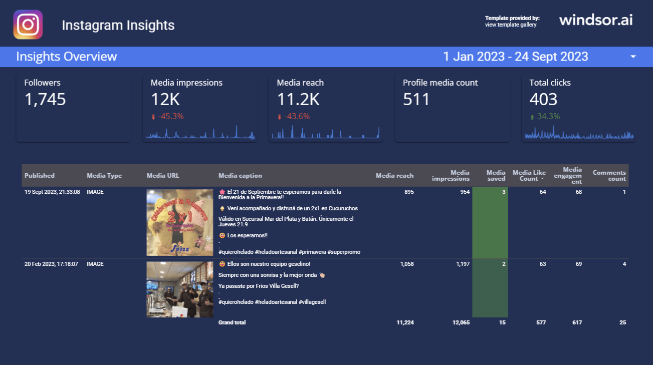 Instagram Insights template
