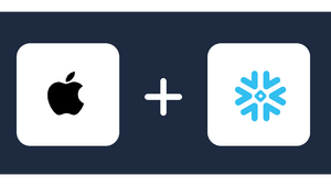 apple search ads snowflake integration