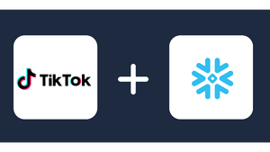 TikTok ads snowflake integration