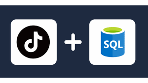 Connect TikTok Ads to Azure SQL