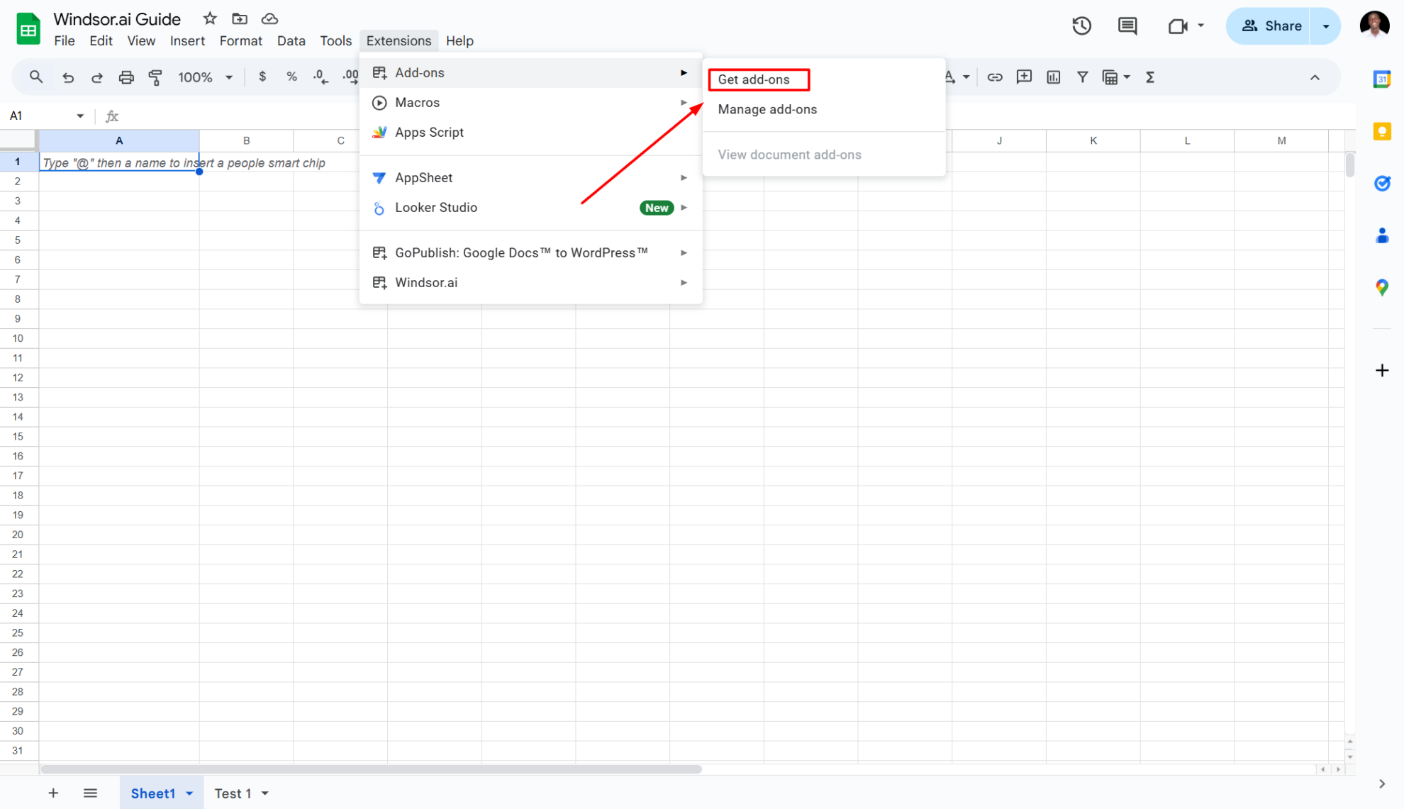 windsor.ai extension in google sheets
