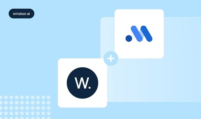 Connecting data with Google Meridian for MMM using Windsor.ai