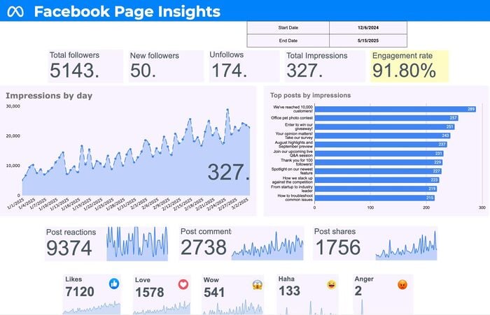 facebook page insights template