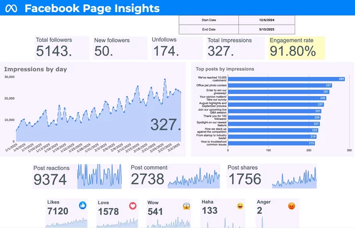 facebook page insights template