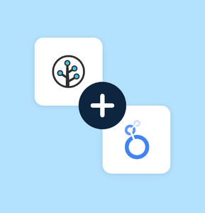 send branch data to looker studio