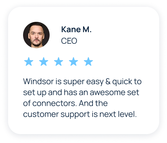 windsor.ai Review