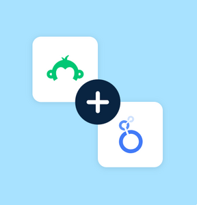 SurveyMonkey to Looker Studio