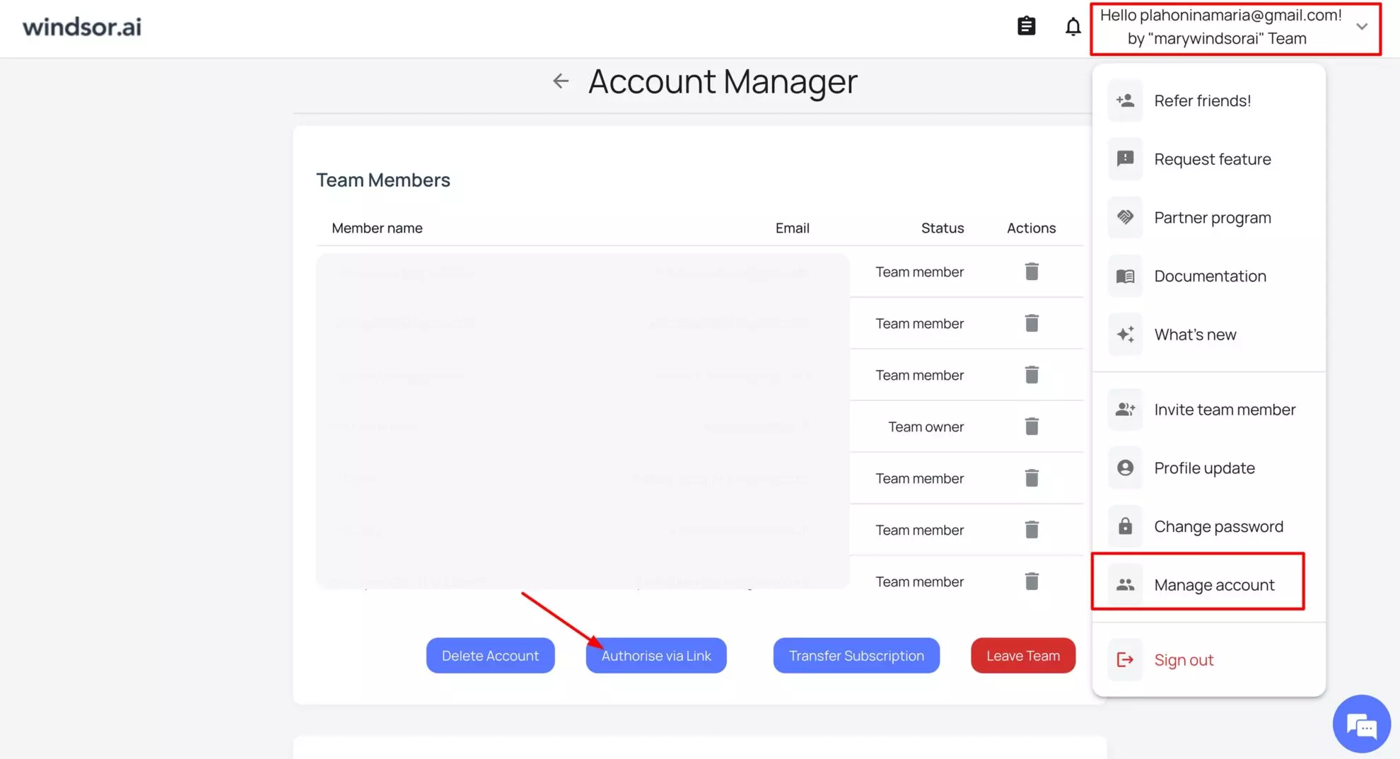 authorise via link windsor.ai