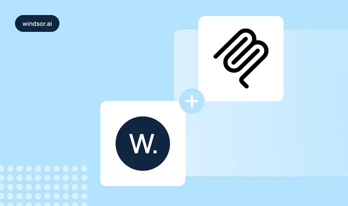 windsor.ai mcp use cases