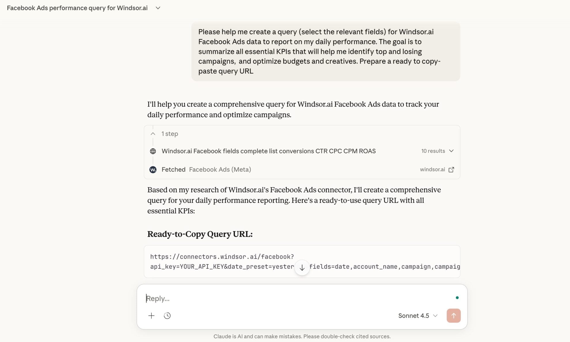 windsor mcp facebook ads query