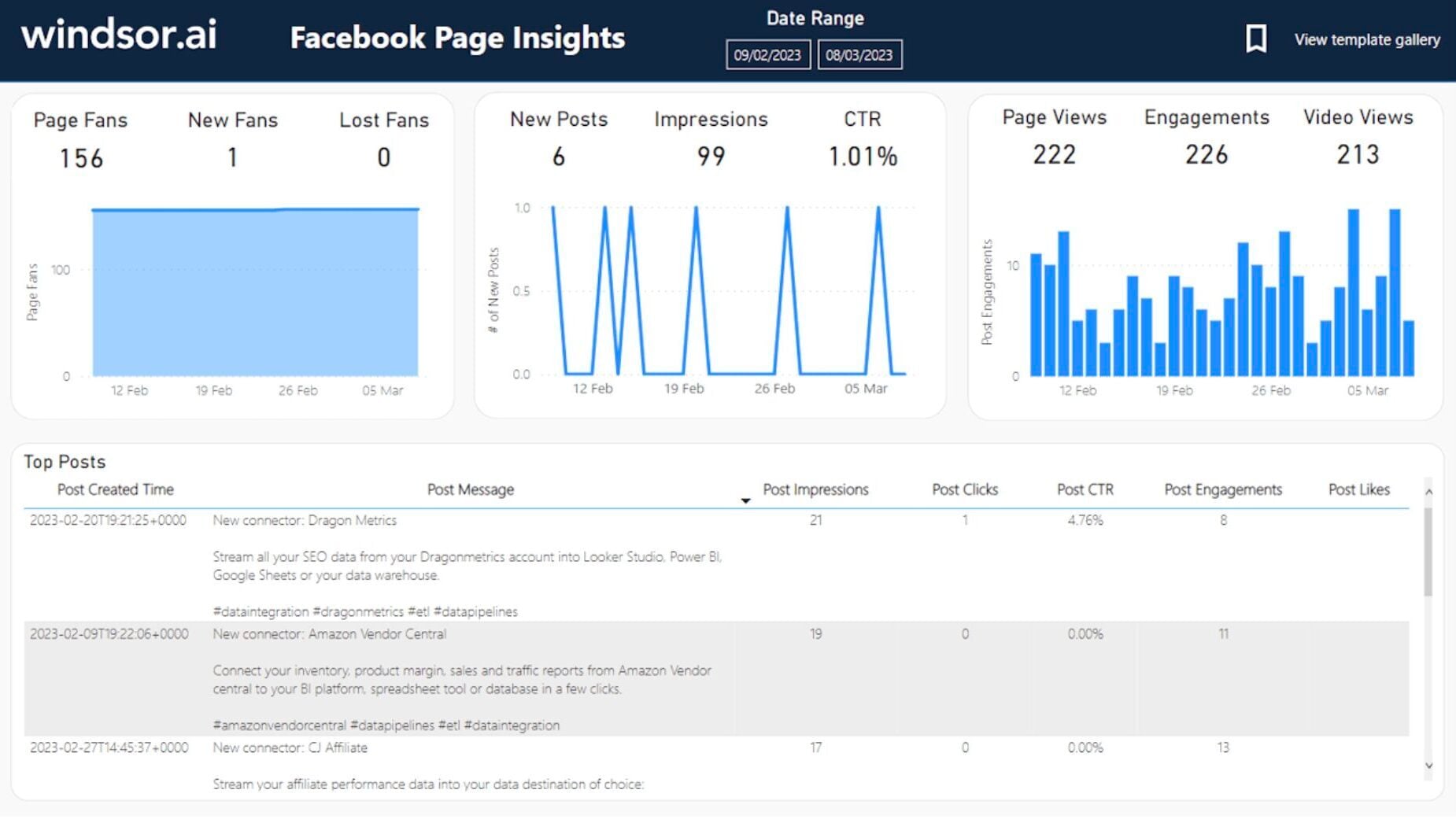 Facebook Page Insights Power BI template
