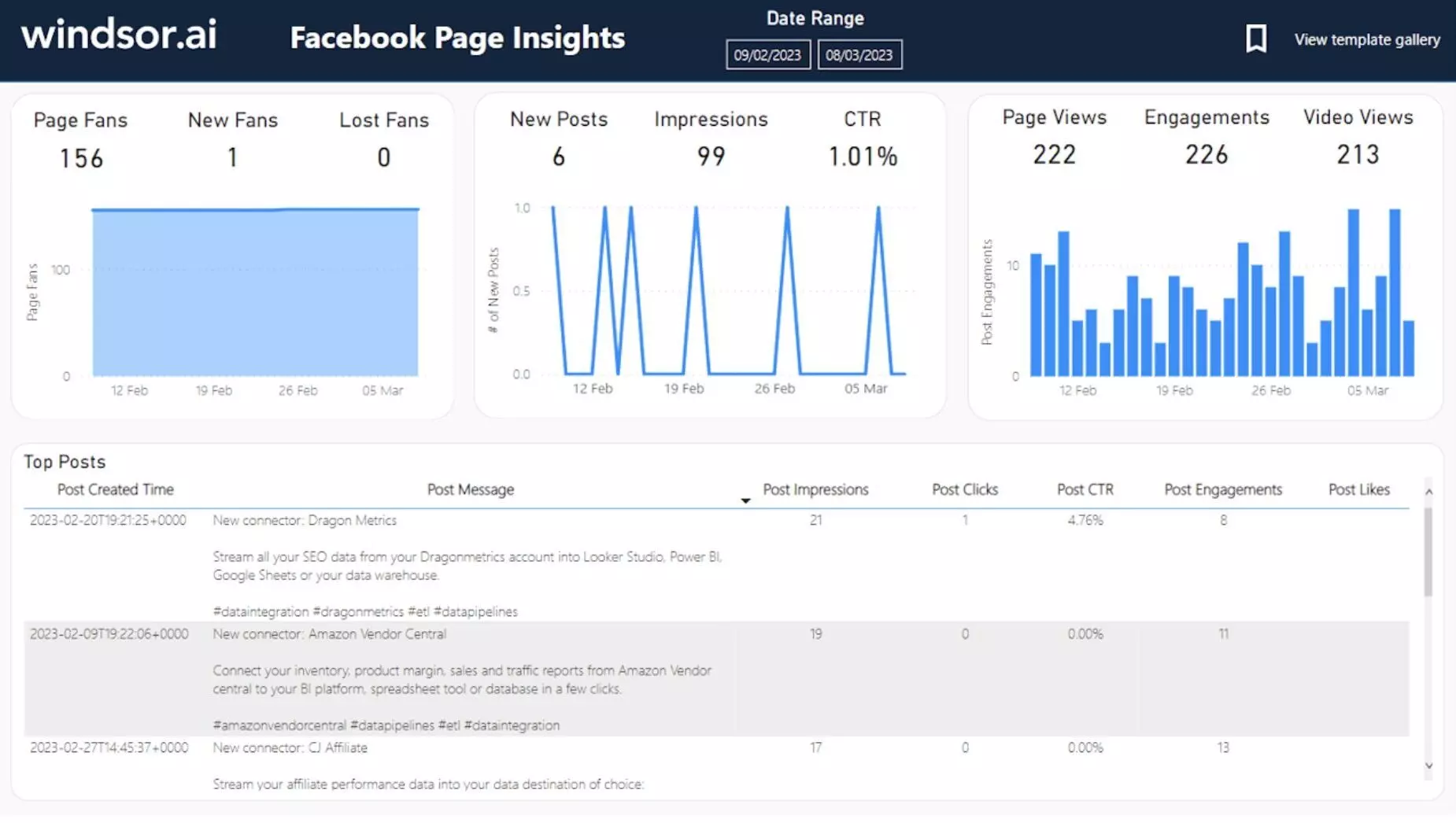 Facebook Page Insights Power BI template