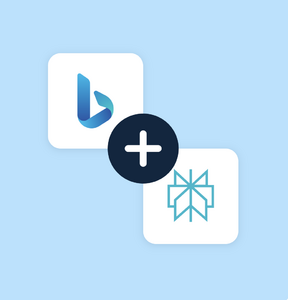 Bing Ads to Perplexity integration
