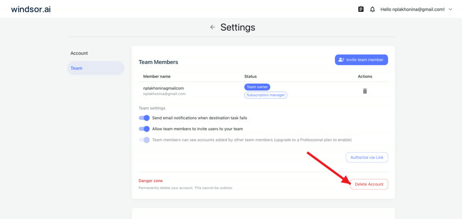 Windsor.ai Settings Team tab with a red arrow pointing to the Delete Account button