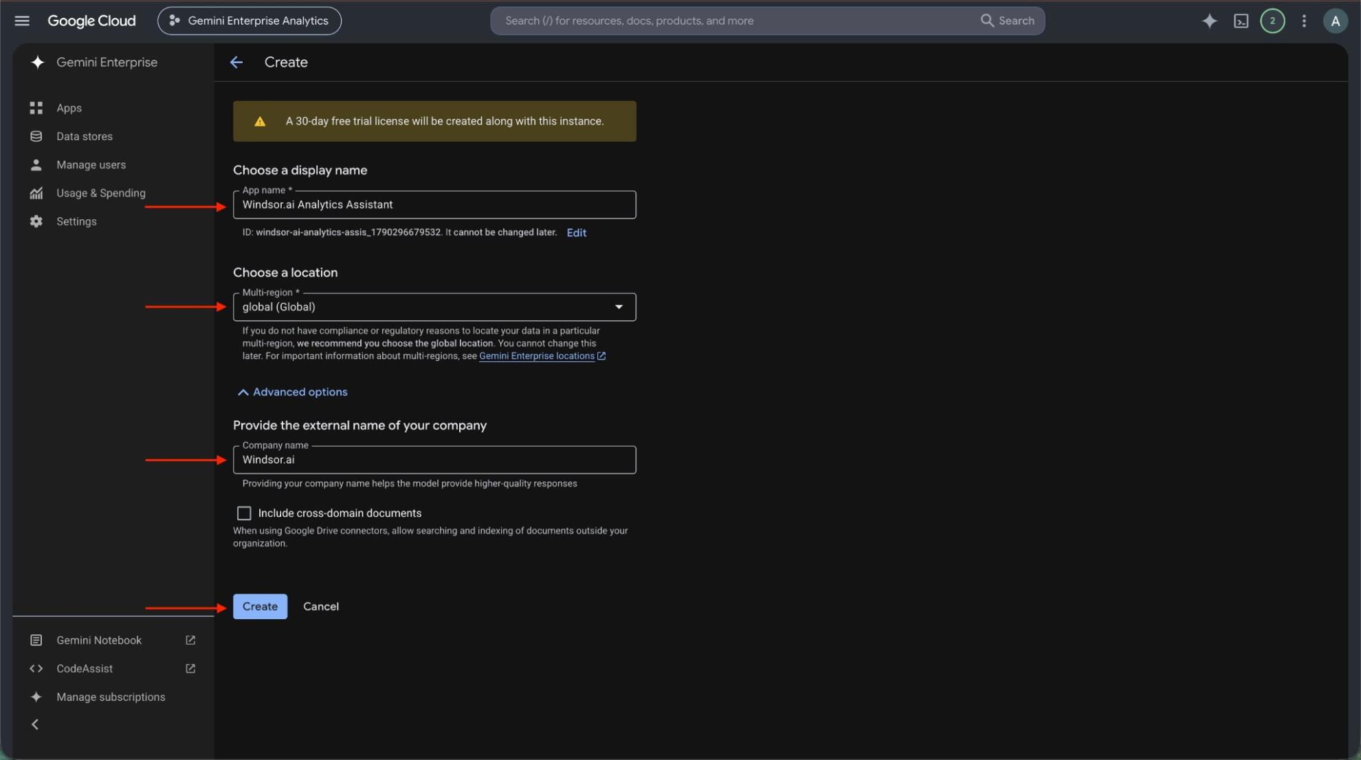 Creating a Gemini Enterprise app with a name, location and company name